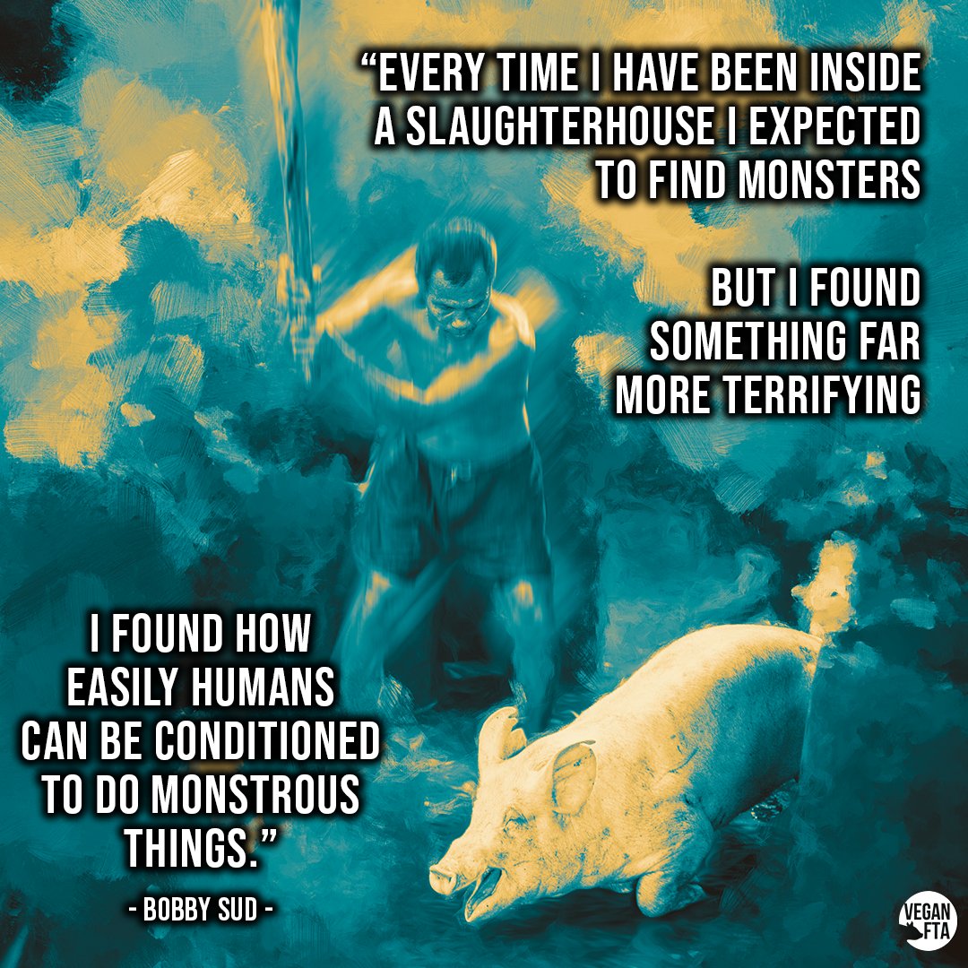 "Every time I have been inside a slaughterhouse, I expected to find monsters. But I found something far more terrifying. I found how easily humans can be conditioned to do monstrous things." 💔 -Bobby Sud

#vegan #animalrights #vegans #veganquote