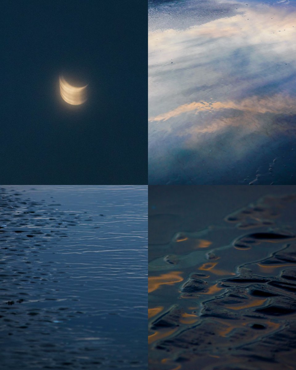 Katerina Armstrong tweet media