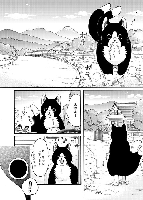 脱サラおじさんが、でっかい猫又に
オムレツを作ってあげるお話🐱🍳(1/2)

#漫画が読めるハッシュタグ 