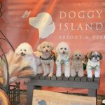 ツイートに含まれる画像