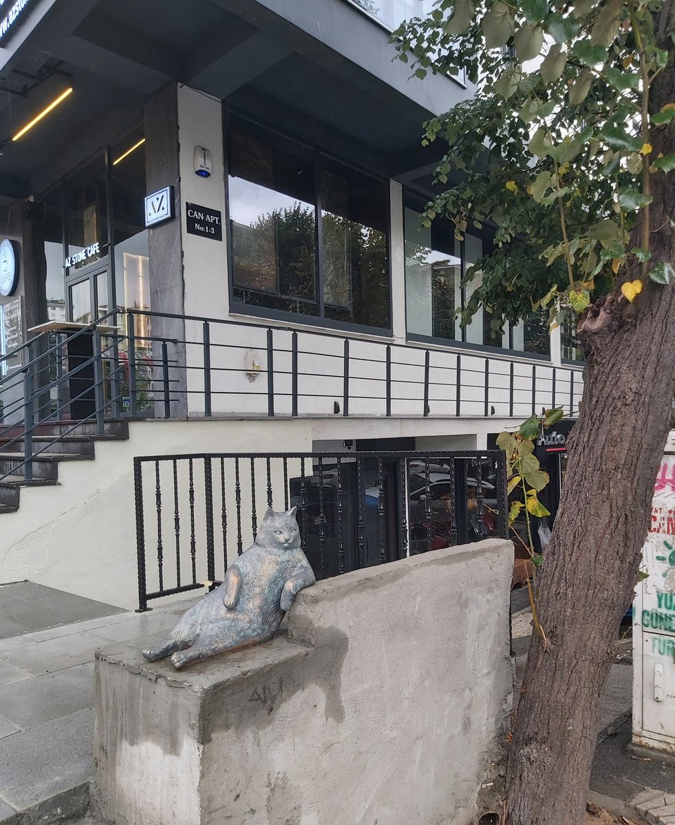 Tombilinin heykeli Ziverbey'e geri dönmüş. #tombili