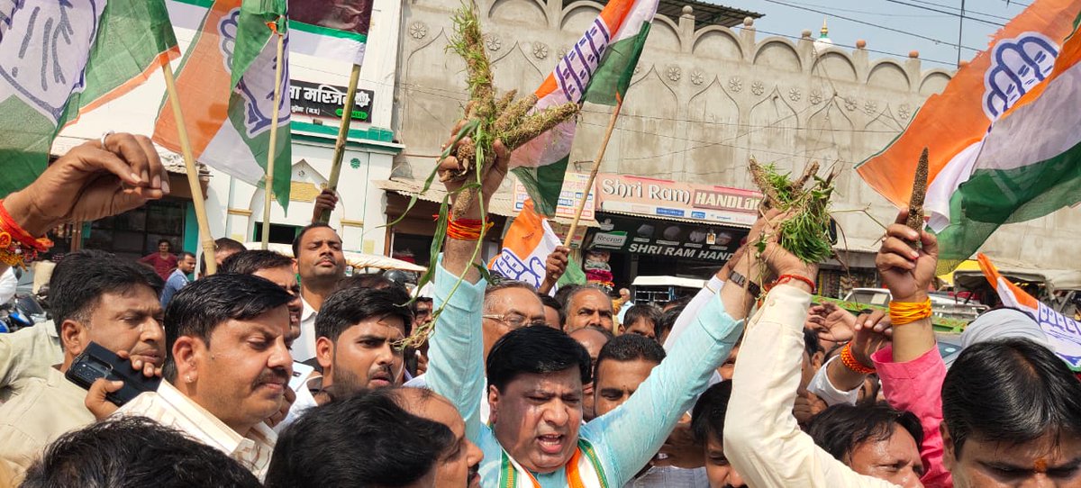 mlarakeshmavai's tweet photo. किसानों की बर्बादी, नही सहेंगे... नही सहेंगे!
शिवराज सिंह जी होश में आयो...
किसानों को मुआवजा दिलाओ...
आज मुरैना में पिछले दिनों बेमौसम बारिश के कारण बर्बाद हुई फसल का मुआवजा दिये जाने की मांग को लेकर प्रदर्शन किया!
@INCMP @OfficeOfKNath
@digvijaya_28 @OfficeofSSC
#mpcongress https://t.co/Ybq9BoDgdd