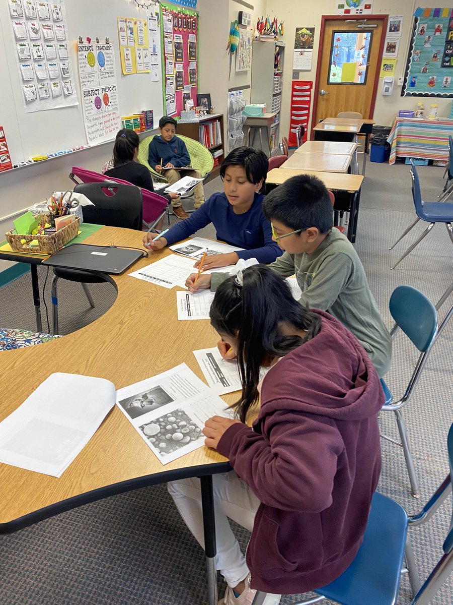 Katie Leslie ESL tweet media