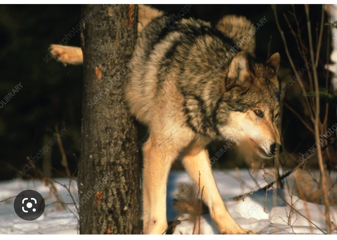 Mark Turner tweet media