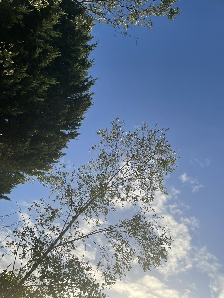 vfarrow16's tweet photo. Blue skies after hospital visits make me happy! #bluesky https://t.co/kcgLb3ENtE