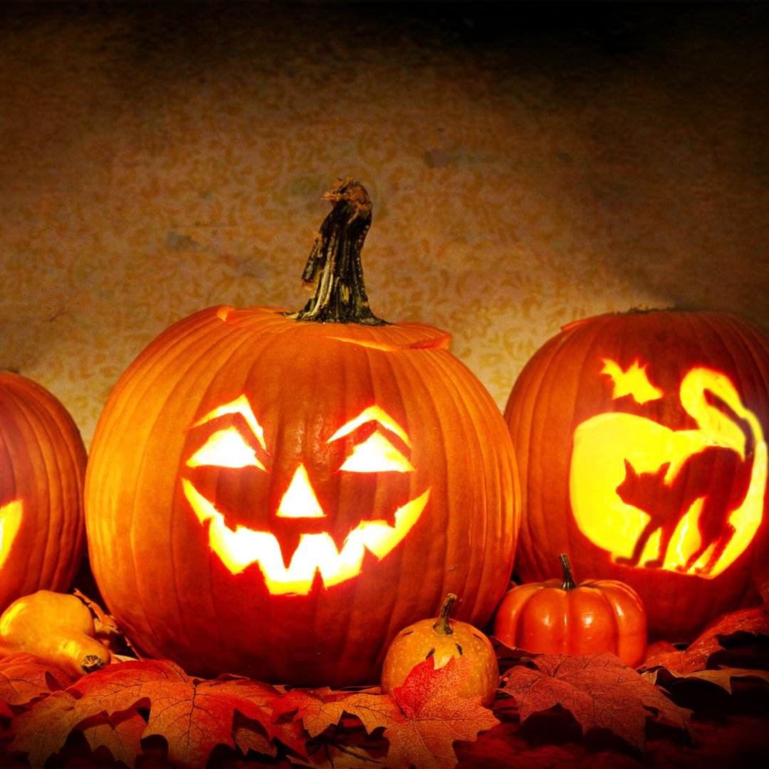 welllongevity_'s tweet photo. Looking for some family fun this weekend? Check out Pumpkins After Dark at Winsport, Canada Olympic Park. Featuring over 6,000+ hand-carved pumpkins, displays, music, sounds and special effects. This family friendly event has something for everyone. 

#yychalloween #yycfamilyfun https://t.co/b4KQzT0fdy