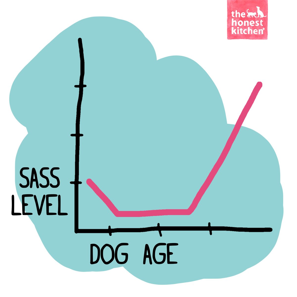 The sass is real! Have an older pup with a lot of personality? Tell us about them in the comments below!