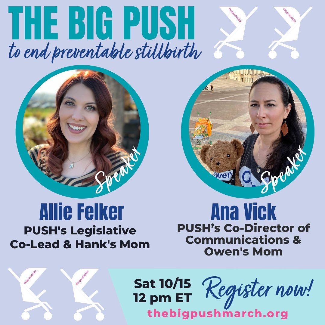melinatedmoms's tweet image. What’s PUSHING you today?? Come join us in Washington DC for #thebigpush as we support our #partnersinpurpose @pushpregnancy for this amazing rally! Every year, 23k babies are born still and this statistic stops now! Join us at the National Mall or virtually! #melinatedmoms