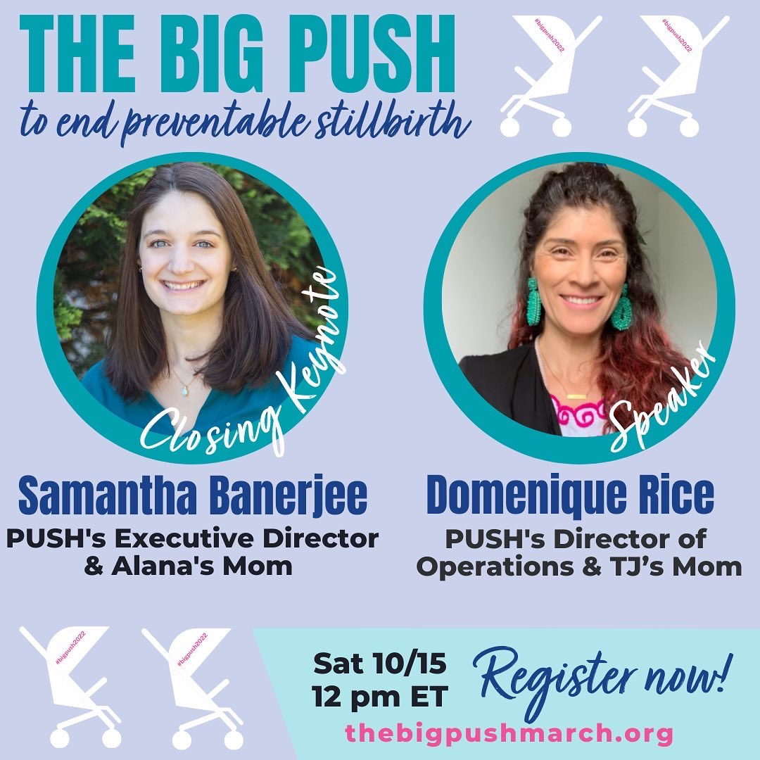 melinatedmoms's tweet image. What’s PUSHING you today?? Come join us in Washington DC for #thebigpush as we support our #partnersinpurpose @pushpregnancy for this amazing rally! Every year, 23k babies are born still and this statistic stops now! Join us at the National Mall or virtually! #melinatedmoms