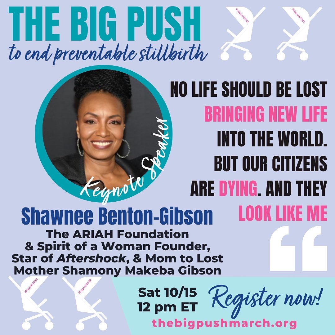 melinatedmoms's tweet image. What’s PUSHING you today?? Come join us in Washington DC for #thebigpush as we support our #partnersinpurpose @pushpregnancy for this amazing rally! Every year, 23k babies are born still and this statistic stops now! Join us at the National Mall or virtually! #melinatedmoms