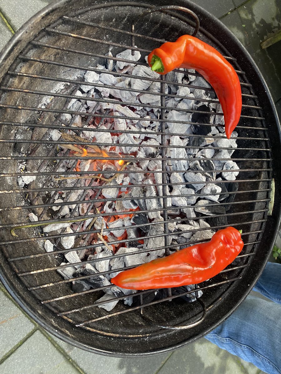 bbq