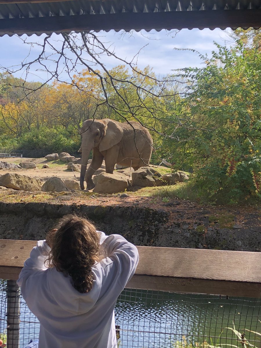 “The elephant has more than 1,000 bones in its trunk. I learned that at Columbia Elementary. Classes are the best at Columbia!” remarked our daughter at the Pittsburgh Zoo.<a href="/CES_Ms_Stone/">Ali Stone</a> <a href="/Columbia_Mr_A/">Mike Astudillo</a> <a href="/ColumbiaES_fcps/">Columbia Elementary School</a> <a href="/oscar_alfonso/">Oscar</a>