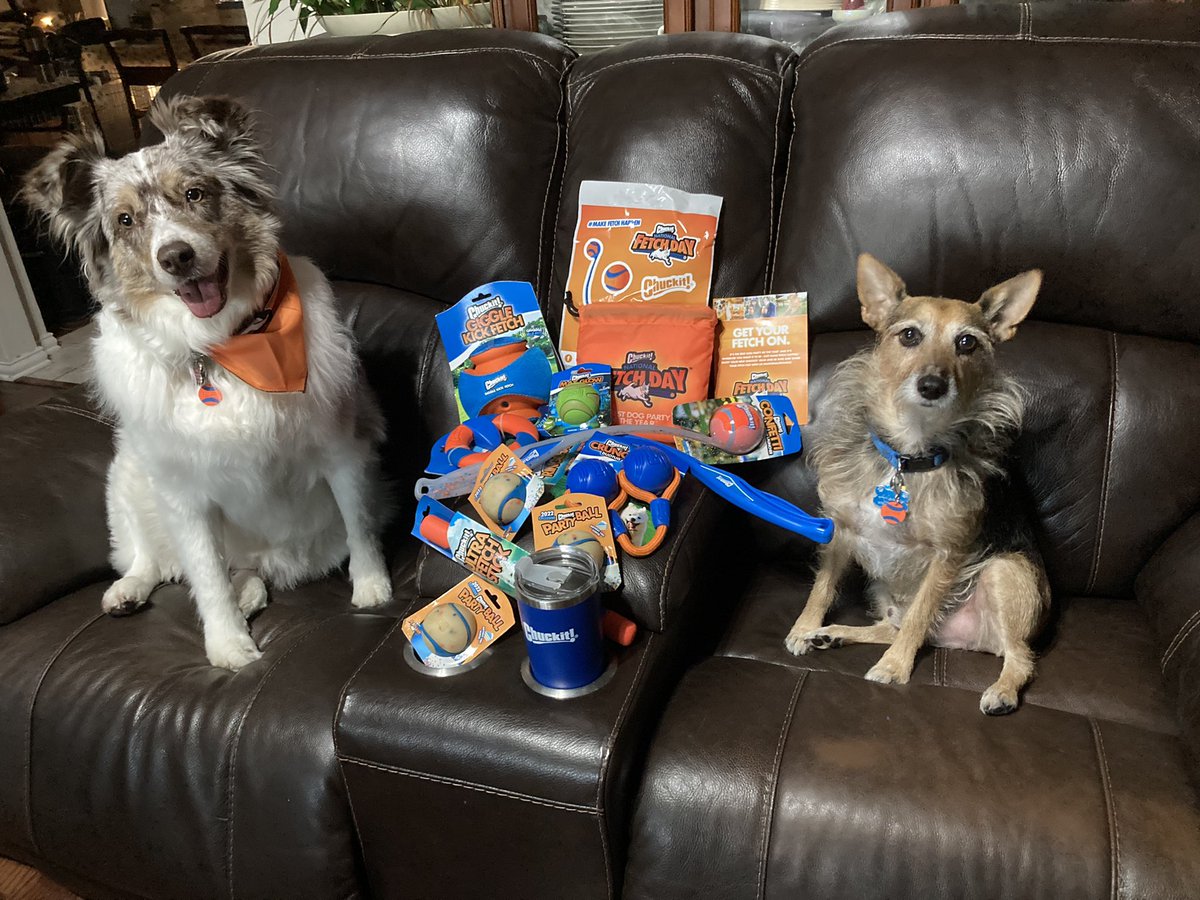 HerbieMooland's tweet photo. Happy National Fetch Day yโall! ๐พ๐ How are you celebrating?
#happydogs #spoileddogs #happynationalfetchday #nationalfetchday #makefetchhappen #fetch #playtime #happyfuntime #fun #ultrafetchstick #chuckit #chuckitball #chuckittoys #fursiblings #dogslife #dogsoftwitter #dogtweet https://t.co/84QdyBg9wS