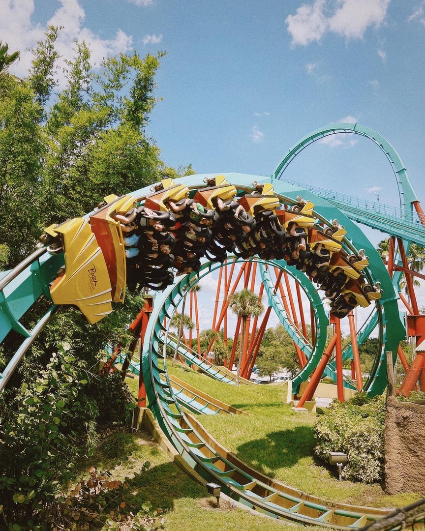 VISITFLORIDA's tweet photo. Spending the day at Busch Gardens is quite the 𝘵𝘩𝘳𝘪𝘭𝘭 🎢 

Located in @VisitTampaBay, this amusement park  is known for it's crazy coasters, safaris, rapids, family-friendly shows and more. 🌹 🐒 🌊#LoveFL 

📸 IG: britt_lennartsson 
📍: @BuschGardens https://t.co/F3808BTOw0