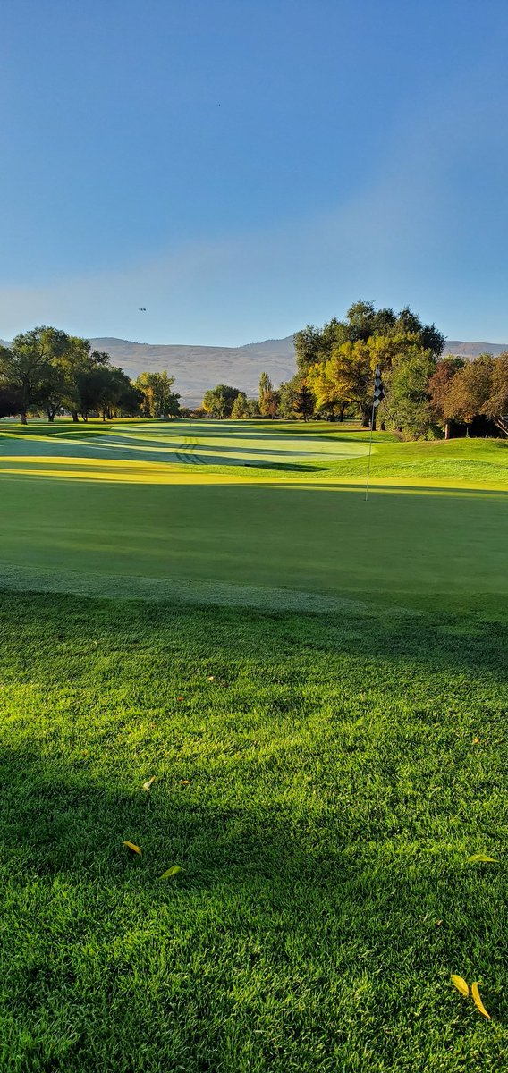 Rolling 12'3" on the stimp this morning in the shade <a href="/KamloopsGCC/">Kamloops Golf Club</a> for the Iron Person Tournament! ⚡️🔥