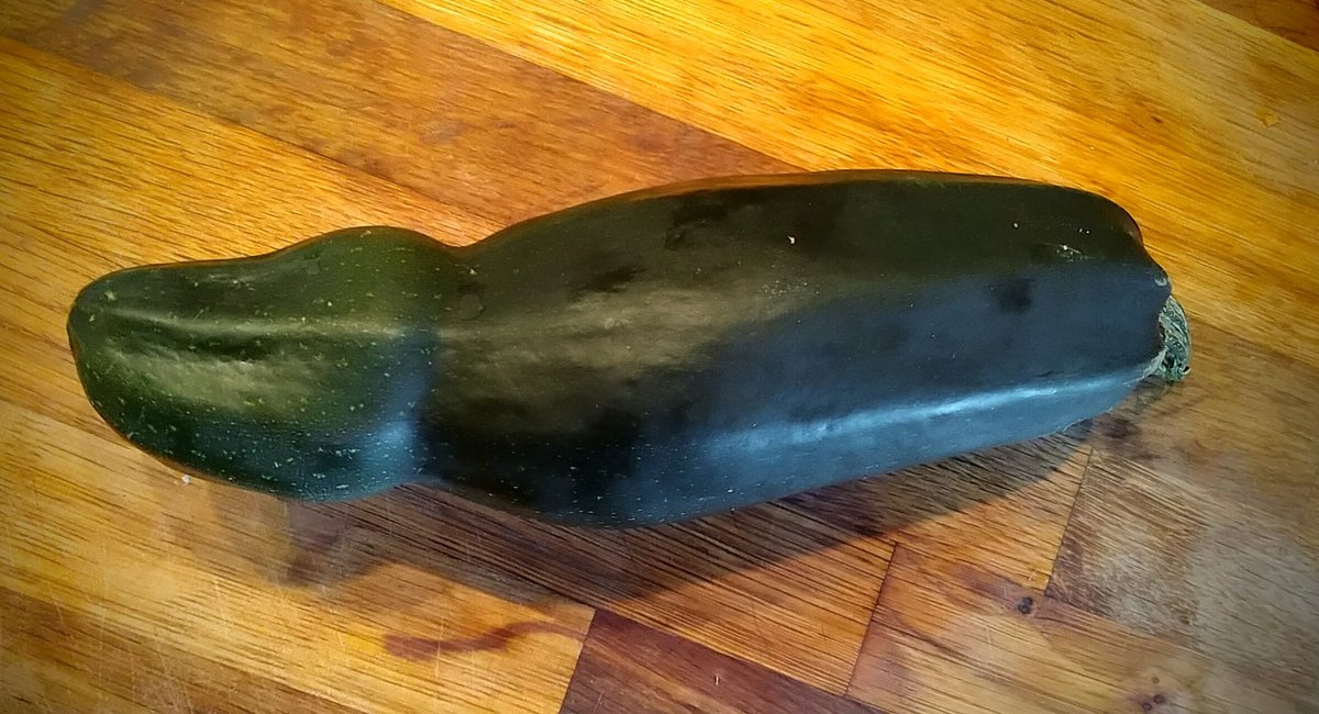 Petit_Vice's tweet photo. Zucchini from garden are something else...
Don't play with food.
Don't play with food...... https://t.co/gs8rEMBLpq