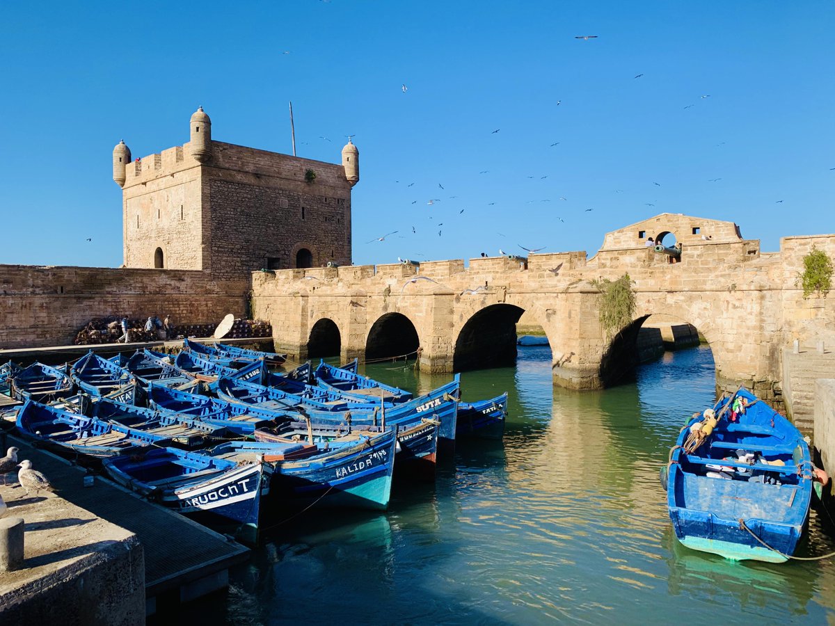 rTravelPhotos's tweet photo. /u/wanderoveryonder1: After a few weeks traveling around Morocco, Essaouira was the perfect place to end the trip. So low-key and peaceful. #travel #traveling #travelphotography #travelphoto #photo #exploring #ilovetravel #ilovetotravel #travelbucketlist #travelblog https://t.co/jSdH987CH0