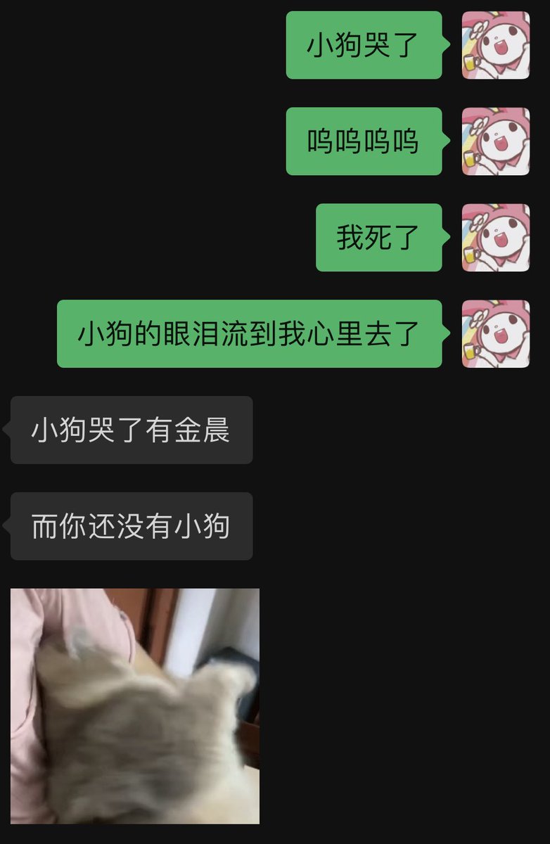 hukunkun8's tweet photo. 什么时候才能有自己的小狗啊 https://t.co/KyNZ6C5BHF