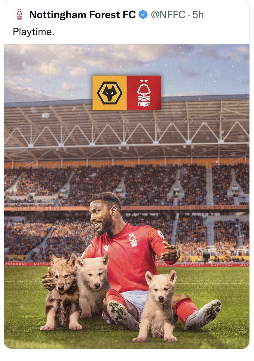 ODDSbible tweet media