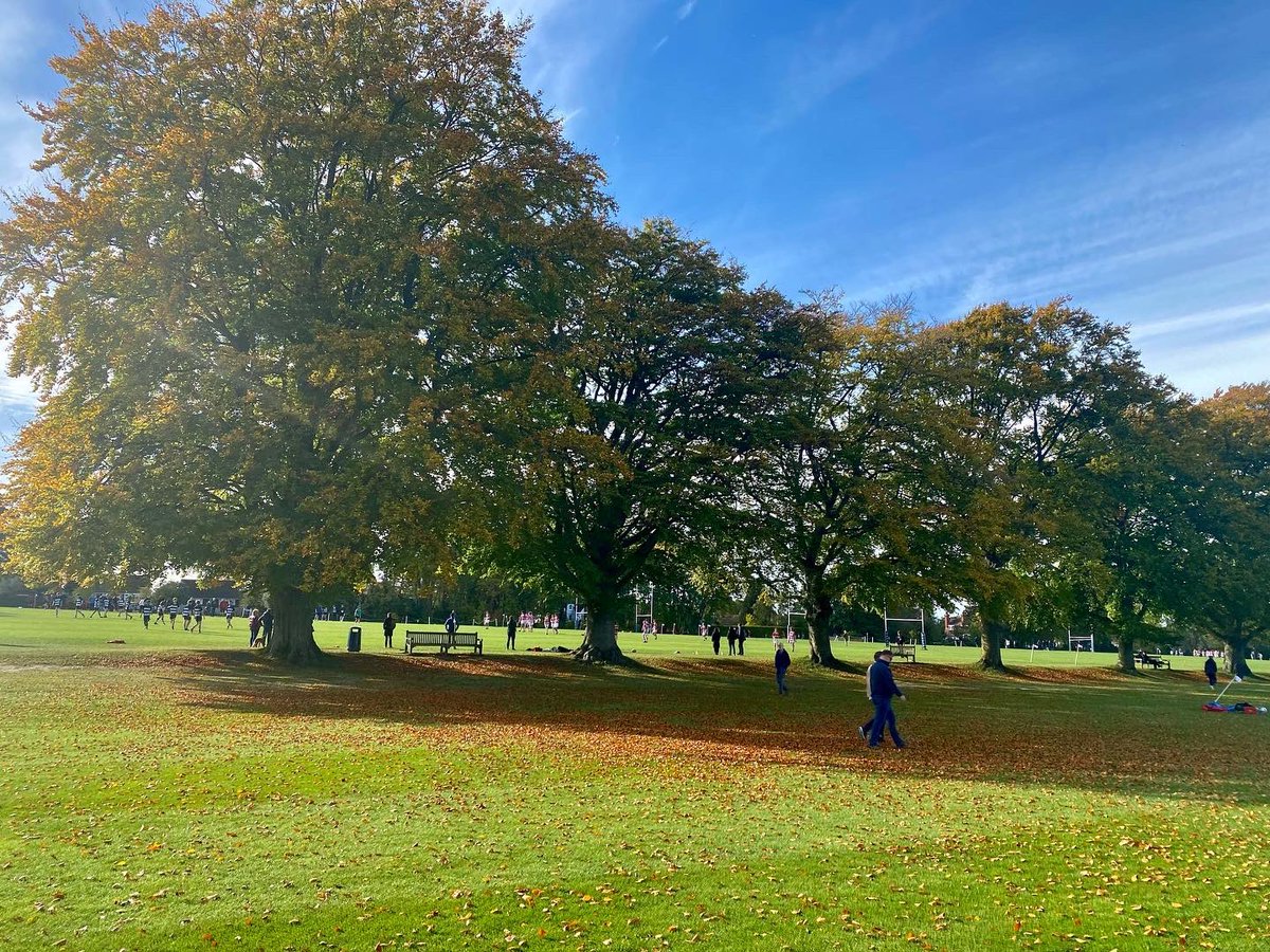 fabulosityforce's tweet photo. The most beautiful & best school. Saturday afternoon rugby, bravo Epsom U4 55-7. Proud mum, 2 Tries by Lucas. #extradinner ππ @EpsomC_Propert @EpsomCollegeUK #SaturdayVibes #rugbyvibes #autumncolours #precioustime https://t.co/raM52mLRd5