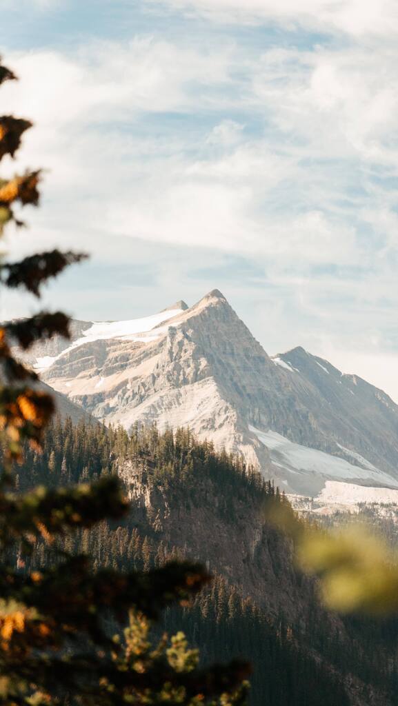 LaMouetteF's tweet photo. Rangées dans ma boîte à "ces routes magiques parcourues dans ma vie", précieusement conservées à côté des routes Écossaises.
.
.
#reels #canadianrockies #explorerockies #ontheroad #explorecanada #albertaviews #roadslikethese #worldthroughmylens #heartsof… https://t.co/VFw244kHAW https://t.co/MVAvsY4A3J