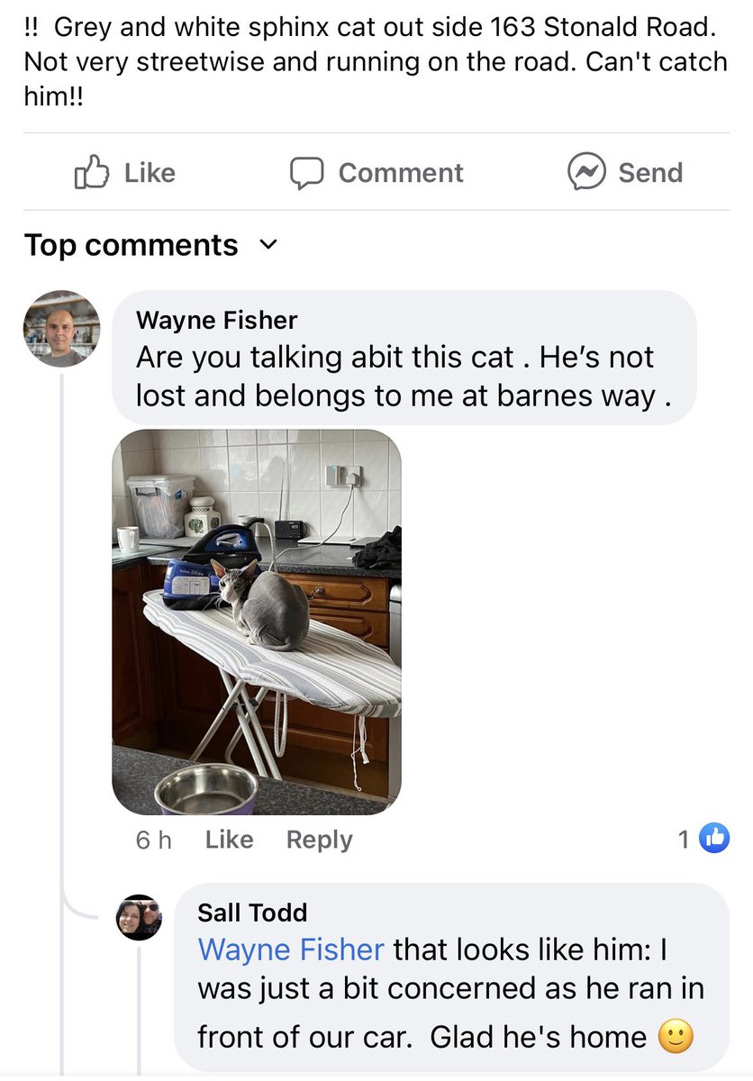 honor elliott tweet media