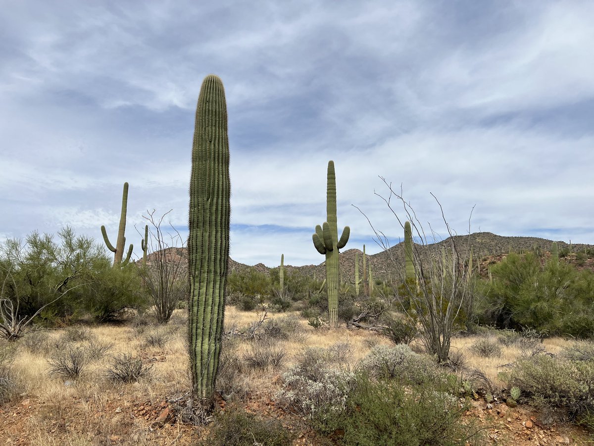 A big thank you to <a href="/TheNAAEE/">NAAEE 🎓🌎</a> for an amazing #naaee2022 in Tucson, AZ! It was wonderful to see old friends and make new ones. Until next time!