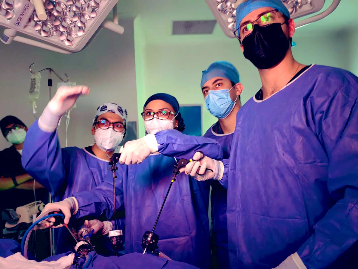 DrSanchezNunez's tweet photo. Curso taller con la @AlejandraCabr01 #radicalnephrectomy #cancer #urology #laparoscopy #safesurgery https://t.co/AXVRgoc1Wc