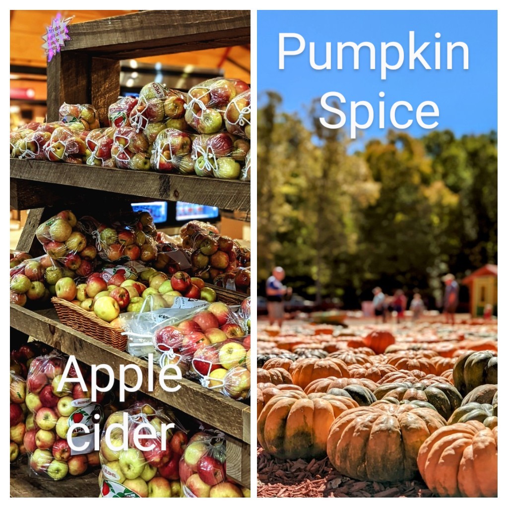 gfreetraveler's tweet photo. Which team are you? Apple cider or Pumpkin spice? Biggest debate since the "chicken or the egg". 

#applecider #pumpkinspice #appleorchard #pumpkinpatch #fall #fallvibes #fallouting #fallactivities #glutenfree #glutenfreetravels #familytime #debate #whichteam #falldrinks https://t.co/5f5Ura3ADs