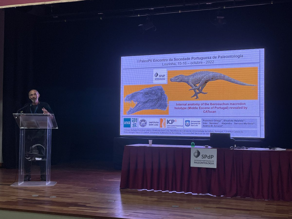 JoanaOrfao's tweet photo. Altura de escutarmos uma apresentação por @frco_ortega da @UNED/@Godzillin: a anatomia interna de Iberosuchus macrodon; notosuchia no contexto de Crocodilomorpha. #PaleoPT https://t.co/kWEiwrYmkZ