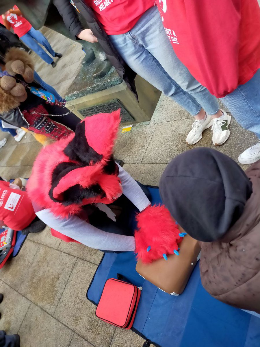 A huge thank you to @LeedsMedHealth & @RestartHeartDay for helping teach some of our floofs CPR in Leeds today. 

An important skill, but tricky with paws!

#LeedsFurs #RestartAHeartDay #RestartAHeart