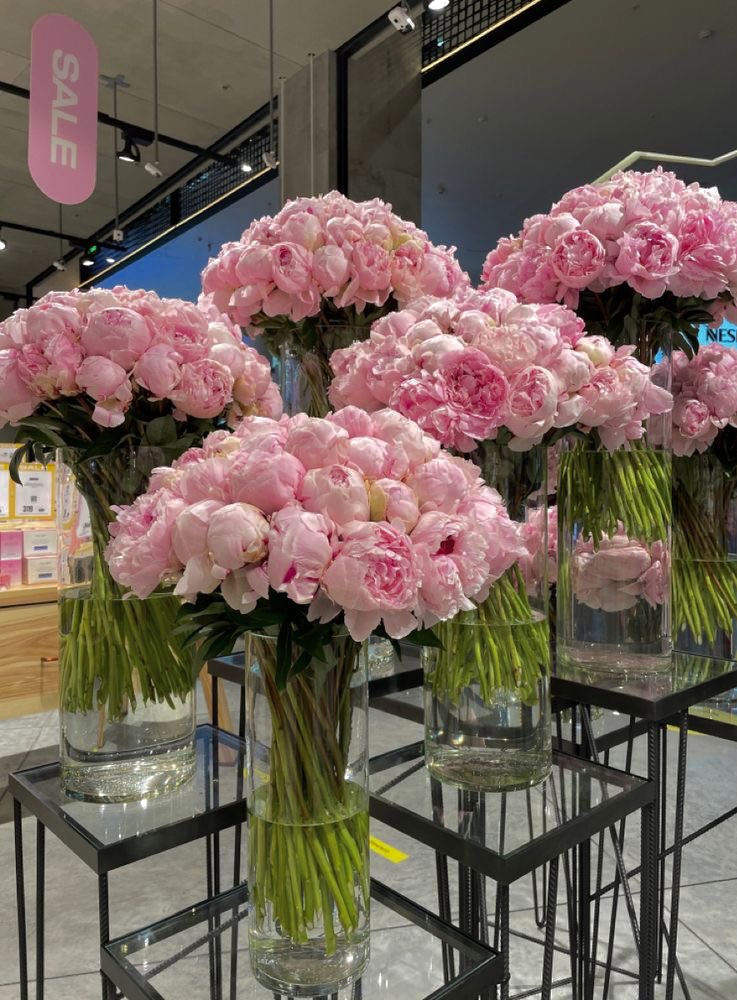 bestofpinkk's tweet photo. peonies♡ https://t.co/3LSWKADqua