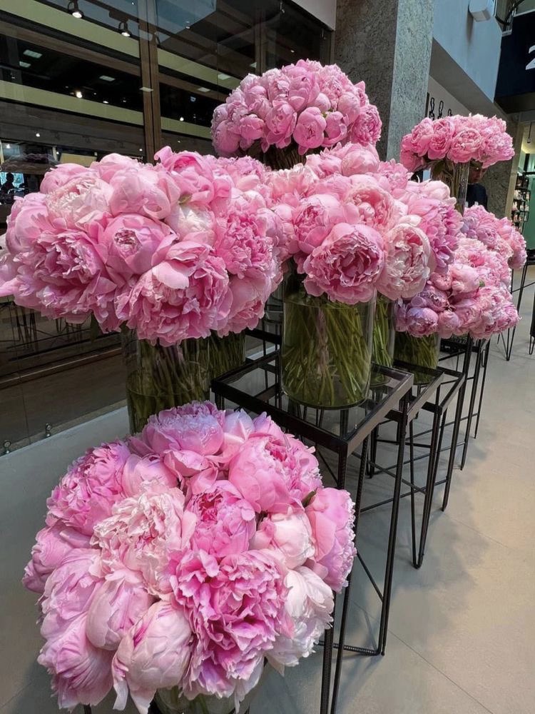 bestofpinkk's tweet photo. peonies♡ https://t.co/3LSWKADqua