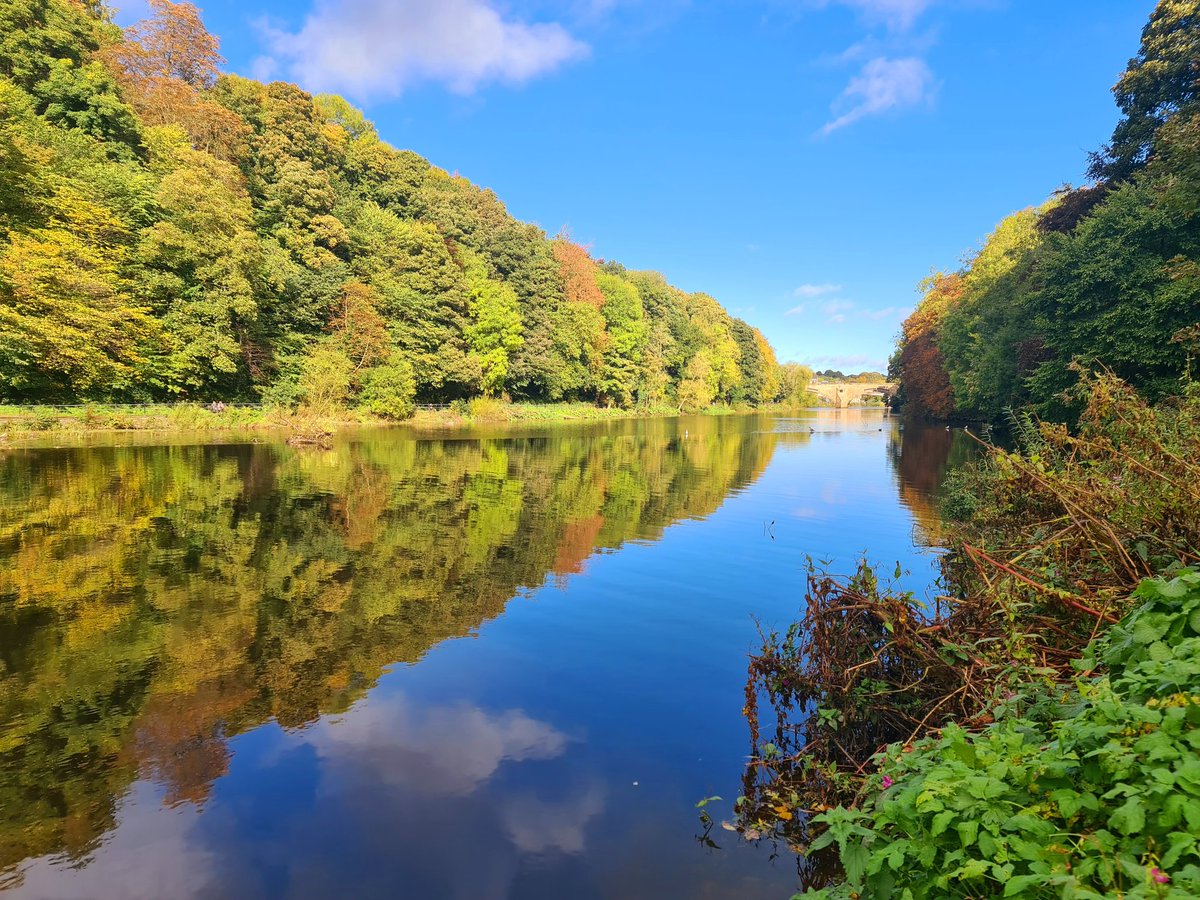 julieforster132's tweet photo. #geroutside #Durham
#Colours
Oh the Colours! ๐ https://t.co/1HpI6gFh1Q