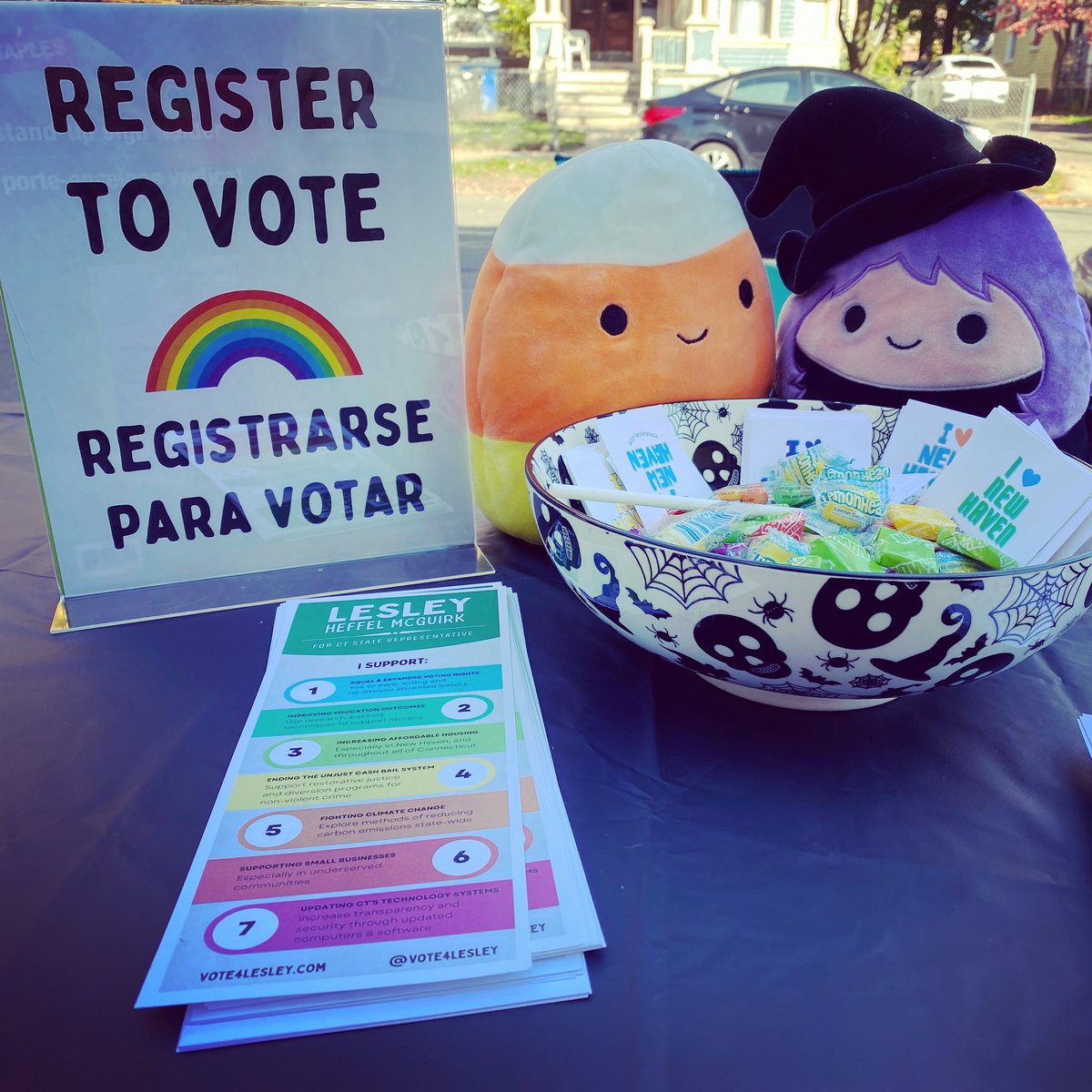 vote4lesley's tweet photo. Things are getting real cute over here. Come visit me today at Possible Futures Books in New Haven! https://t.co/2KqBiyNNOJ