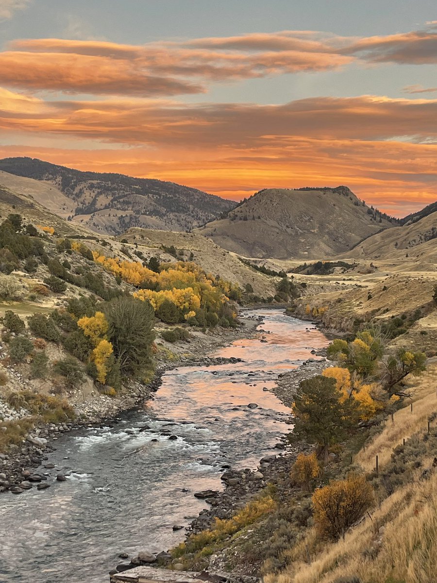 Greg Rogers tweet media