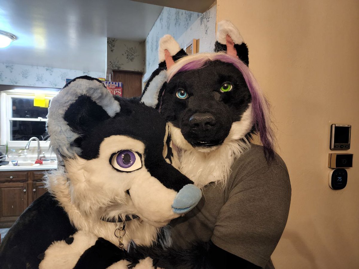 late #FursuitsFriday pictures been meaning to make this post but had a lot on my mind but here is some pictures of two really good friends in my life I have more friends  like this but we don't have up to date pictures yet. People in the pictures  is <a href="/KeeyaKanze/">Kiro Kanze</a> and <a href="/taniofoxsky/">Tanio Foxsky @ 🟦 ☁️</a>.