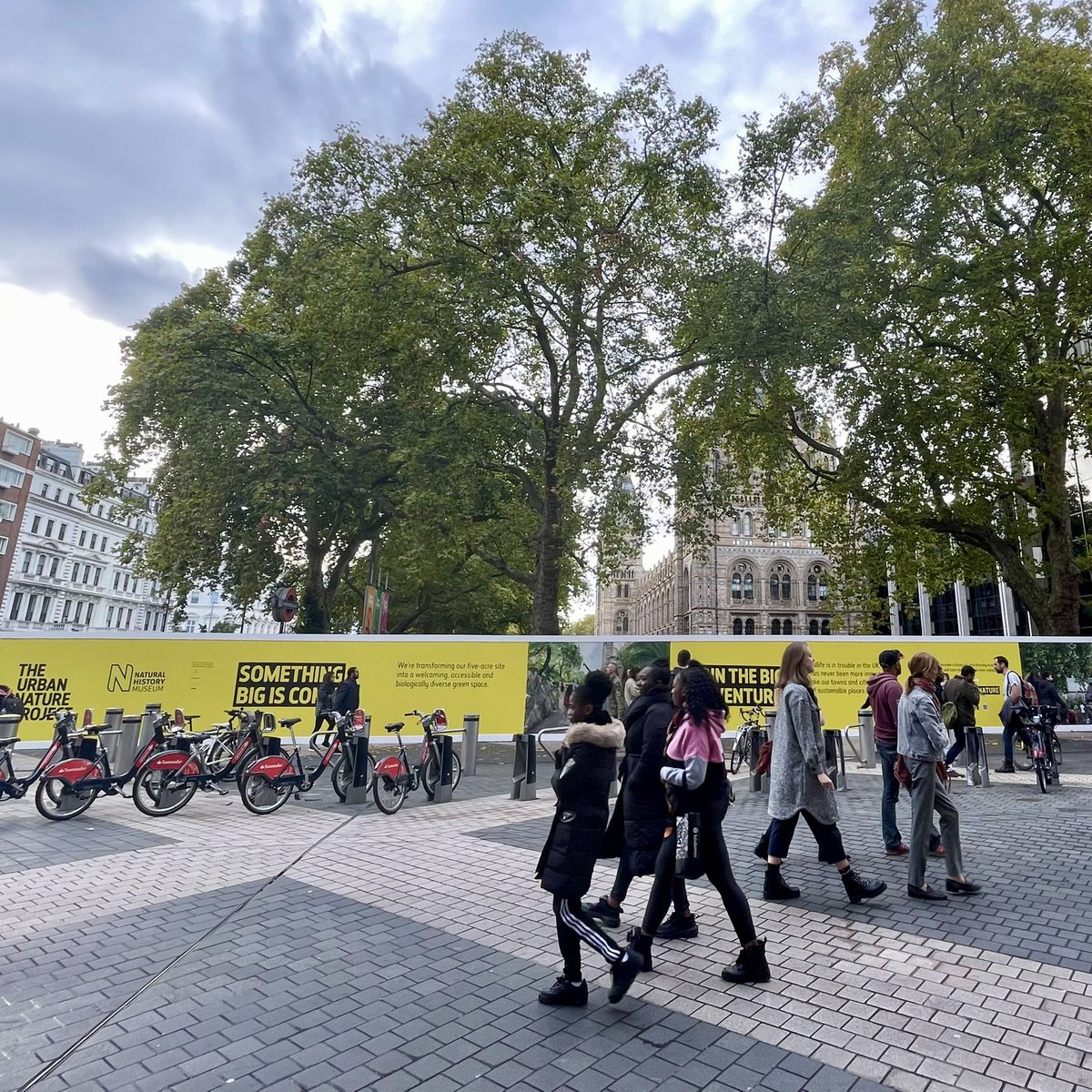 J & L Gibbons tweet media