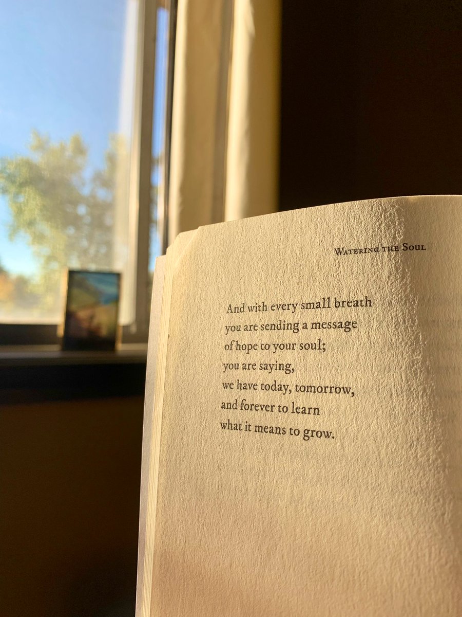 Morning light
Morning words

<a href="/CourtPeppernell/">Courtney Peppernell</a>