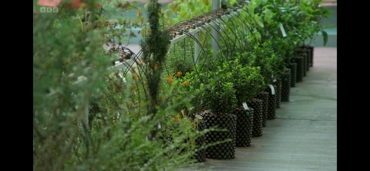 mint_aholic's tweet photo. @GWandShows does anyone know where to buy these pots ? https://t.co/fXcHE2ahxe