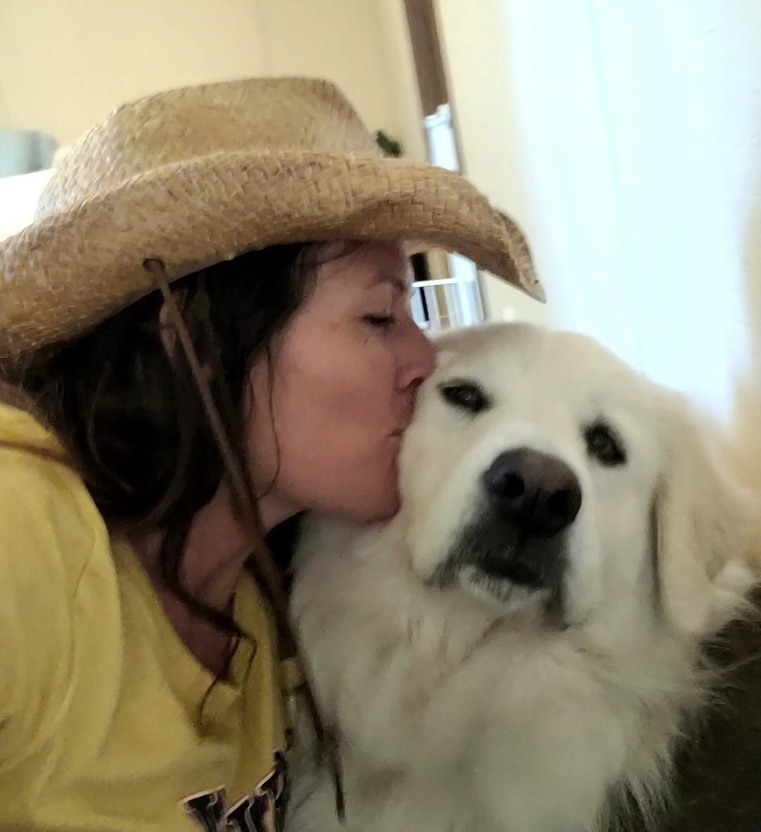 MayaPanda.eth (@shibmaya) on Twitter photo 