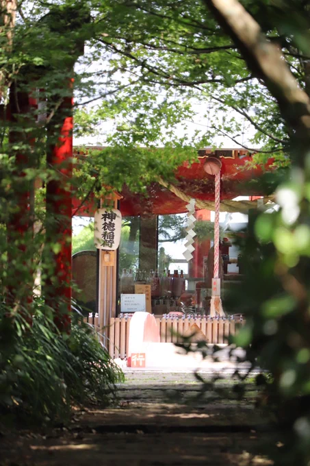 鹿屋の神徳稲荷神社。ニコニコの車載動画で紹介されてて来たかったところ 