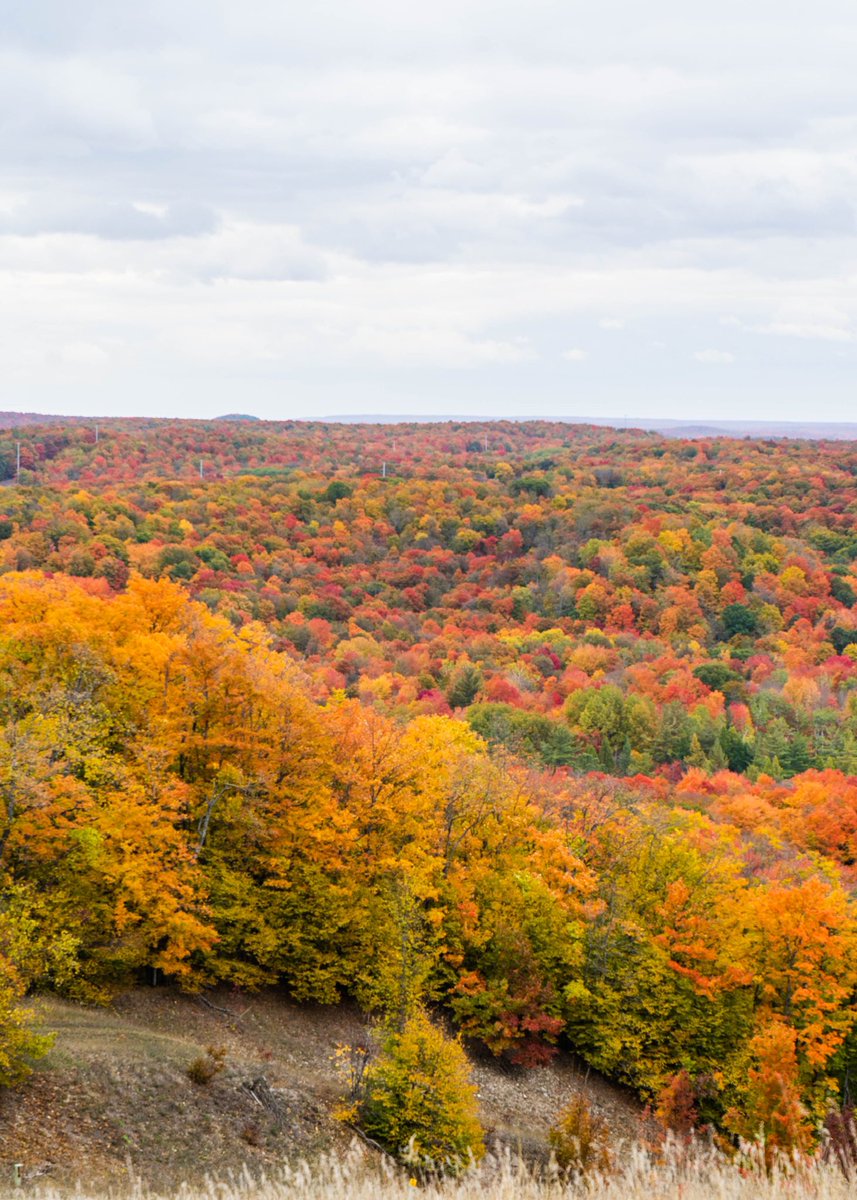 PureMichigan's tweet photo. #FallColorReport: Reds, oranges and yellows are at peak at @ShantyCreek. 🍁 #FallFilter #FallColors #PureMichigan https://t.co/hYfaZGMPf1