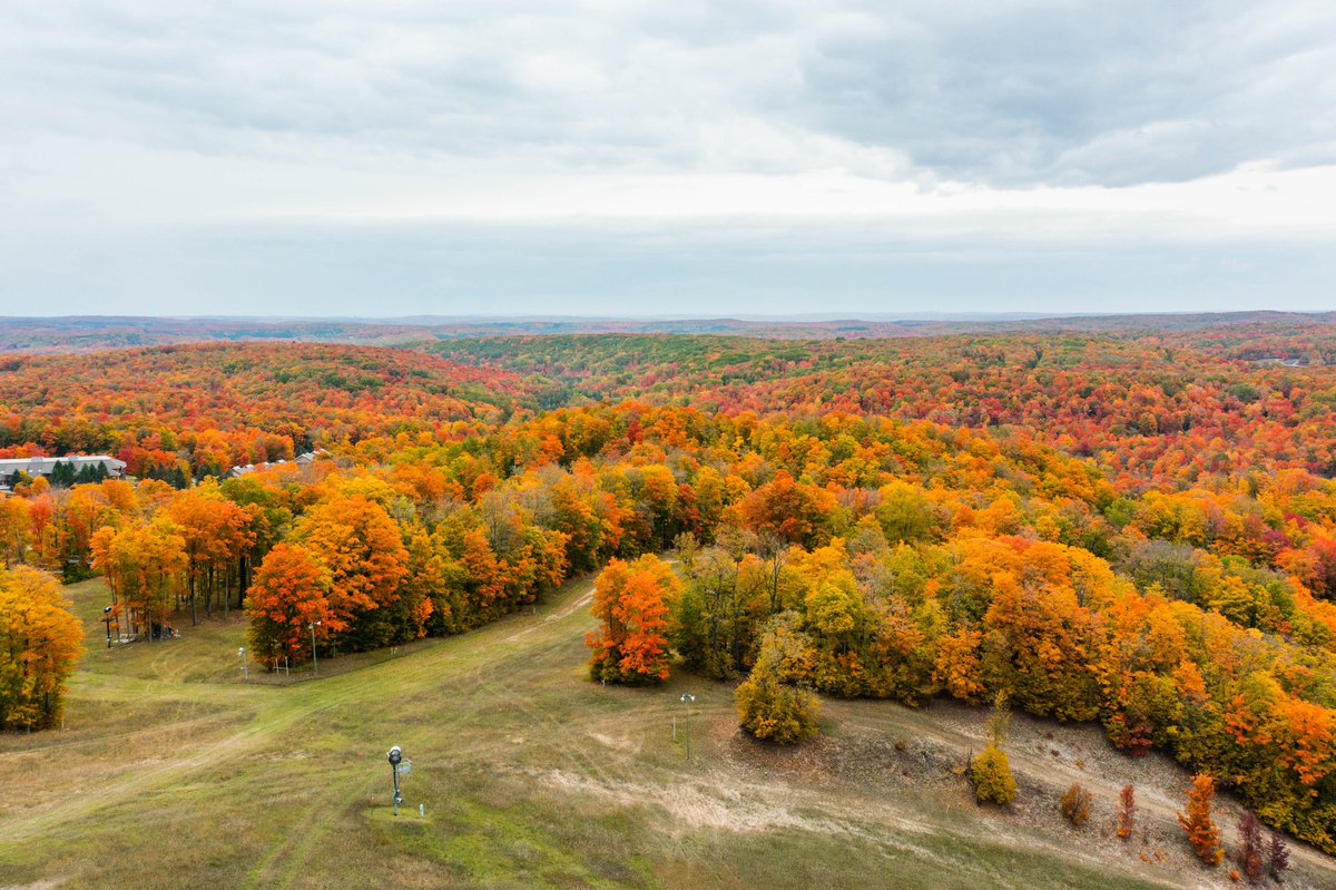PureMichigan's tweet photo. #FallColorReport: Reds, oranges and yellows are at peak at @ShantyCreek. 🍁 #FallFilter #FallColors #PureMichigan https://t.co/hYfaZGMPf1