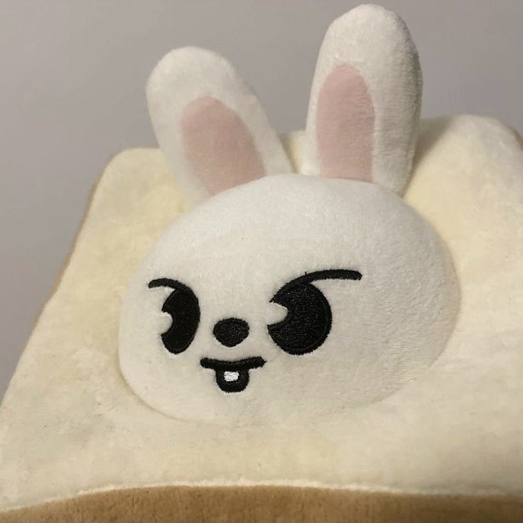 minmincartz's tweet photo. wtb lfs skzoo plushie ph

wtb leebit skzoo plushie
- 1.4k max budget
- pref onhand
- dm me your offers

pauwiin niyo na sakin to plsss T__T https://t.co/7bdzUbF0y6
