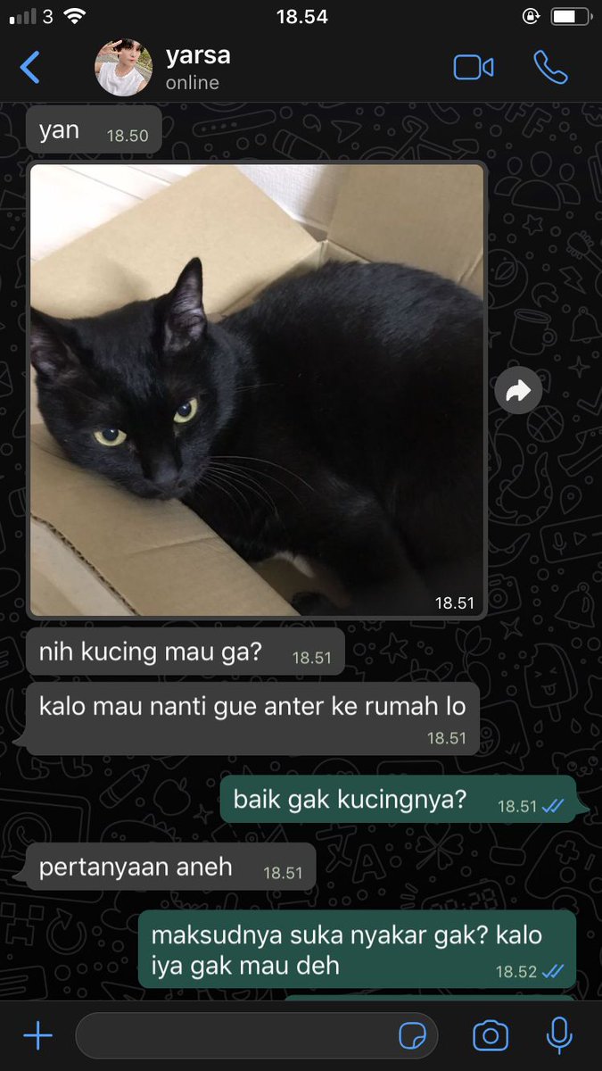 armaraher's tweet photo. 63. yarsa nawarin adop kucing. https://t.co/eawxMAHtJw