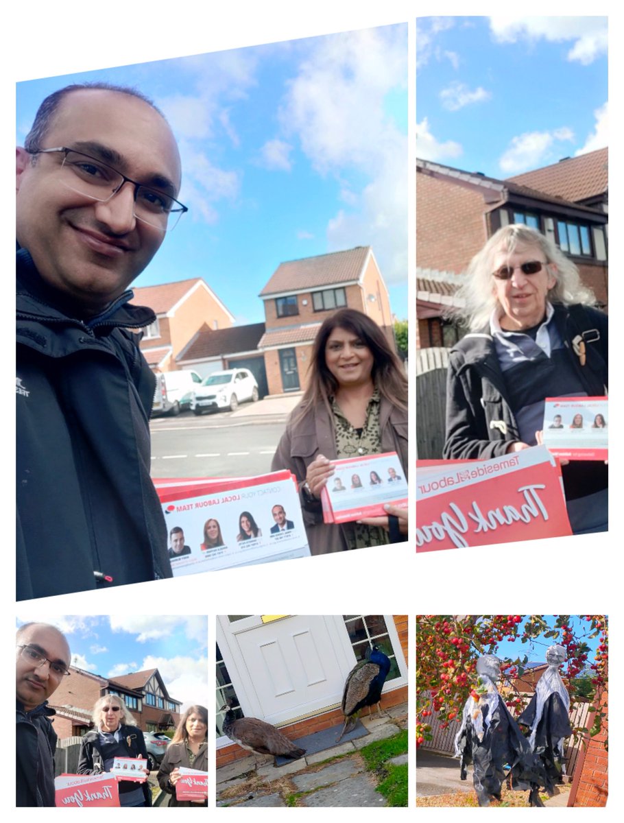 ChoksiVimal's tweet photo. ๐นA well spent morning in Waterloo ! #TeamWaterloo! It is always feels great to be out on your feet on a lovely Saturday morning and spending time on the street and seeing famous local attraction "peacocks" and the some prep for the upcoming ๐ Halloween ๐! https://t.co/JZMM3eXAg9