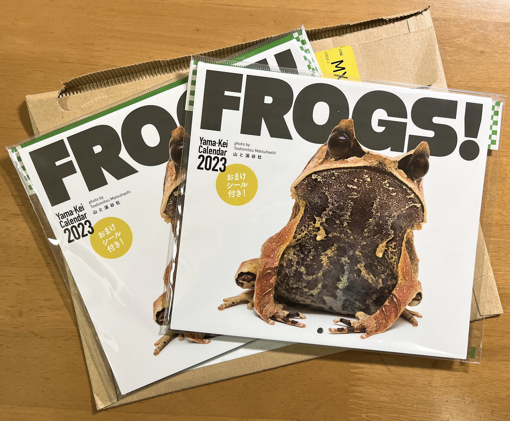 今井アレクサンドル作品(おたまじゃくし 金魚様) 今井アレクサンドル作品(おたまじゃくし 金魚様)