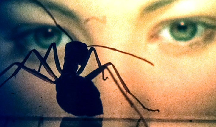 FILMDIENST's tweet image. Eine herausragende neue Heimkino-Edition hat sich das @FILMDIENST -Gütesiegel #Silberling verdient! Saul Bass’ philosophischer Tierhorror-Klassiker #PhaseIV zeigt seine Qualitäten in einer aufwändigen Ausgabe in bislang ungekannter Weise: filmdienst.de/artikel/51522/…