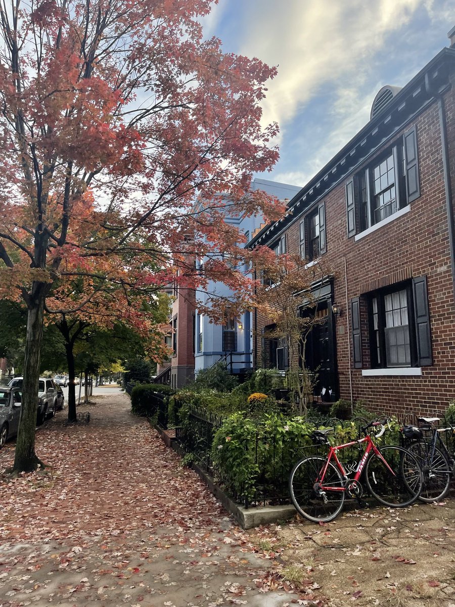 taymac98's tweet photo. okay i’ll say it… DC in the fall is currently unmatched https://t.co/dR9E9Sh6kc